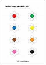 Color Recognition Colors Matching Worksheet Worksheets Objects Printable Flowers Preschool Kindergarten Activity Kids Activities Brown Red Green Recognize Shapes Yellow sketch template