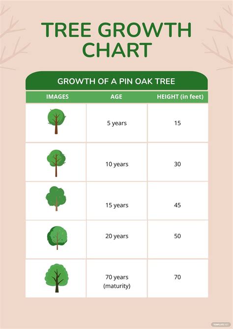 growth chart ruler   illustrator  templatenet