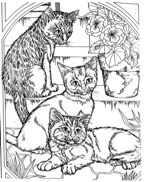kitten coloring pages  adults  getdrawings