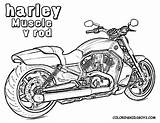 Harley Davidson Coloring Pages Hot Rod Print Printable Kids Logo Adult Drawings Book Motorcycle Detailed Line Cars Rat Color Google sketch template