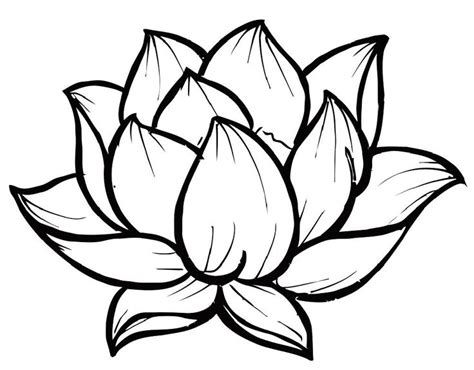 lotus flower templates clipart