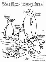 Penguins Az sketch template