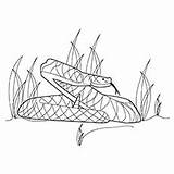 Snake Coloring Pages Printable Boa Top Ship Naughty Kid sketch template