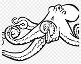 Octopus Coloring Realistic Printable Alphabet Gurita Clipart Clip sketch template