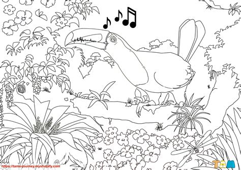 birds  flowers colouring page