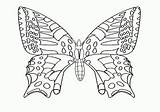 Mariposas Chachipedia sketch template