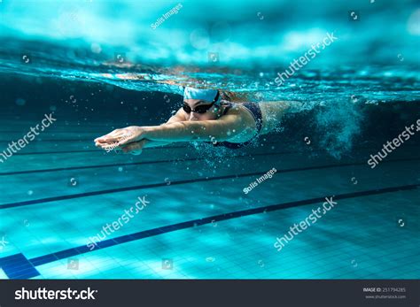 「泳ぐ」の画像、写真素材、ベクター画像 shutterstock
