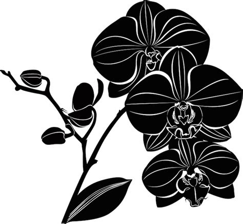 orchid tattoo meaning tattoos with meaning