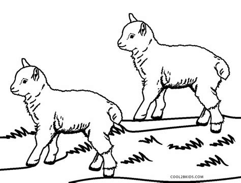 printable sheep face coloring pages  kids coolbkids