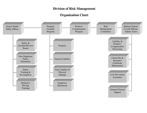 risk management organizational chart templates