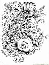 Coloring Fish Koi Pages Popular sketch template