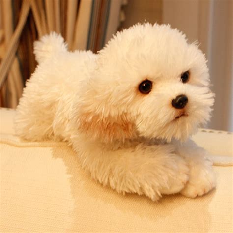 dorimytrader cute soft animal maltese dog plush toy mini stuffed lying animals pet dogs doll
