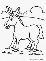 Donkey Keledai Mewarnai Esel Ausmalbilder Colorir Desenhos Cachorro Ausdrucken Ausmalbild Vaca Pato Malvorlage Gato Sapo Imprimirdesenhos sketch template