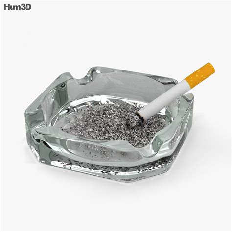 ashtray  model life  leisure  humd