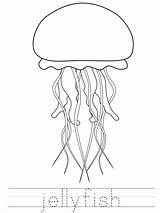 Jellyfish Coloring Print Learn Pages Tracer sketch template