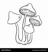 Mushroom Coloring Vector Narcotic Royalty sketch template