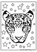 Leopards Leopard Printable Iheartcraftythings sketch template