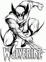 Coloring Wolverine sketch template