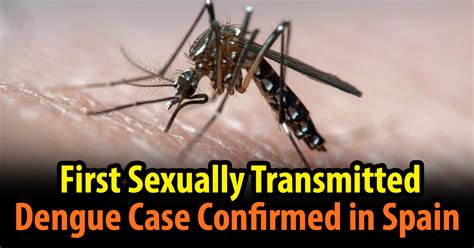 First Sexually Transmitted Dengue Case Confirmed In Spain The Most