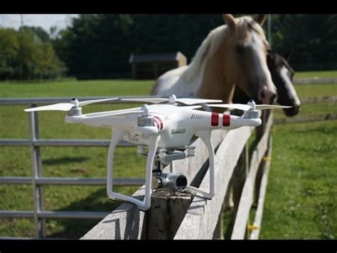 chrome drone horse chase youtube