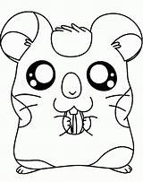 Coloring Pages Hamsters Popular sketch template