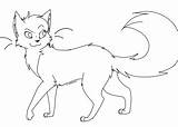 Warrior Cats Coloring Cat Outline Pages Lineart Print Drawing Deviantart Google Warriors Drawings Oc Search Sheets Anime Bases Template Clan sketch template