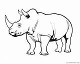 Rhino Coloring4free Coloring Pages Printable Outline Related Posts sketch template