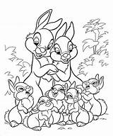 Bunnies Coloriage Conejos Coloriages Freecreatives Panpan Bambi Adults sketch template