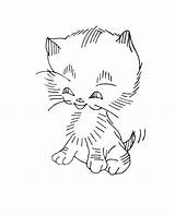 Minette13 Coloriage sketch template