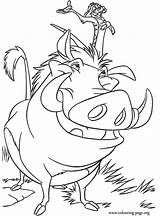 Timon Lion Pumbaa Coloring King sketch template