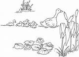 Anatroccolo Brutto Patito Feo Colorare Cuento Patos Duckling Disegno Animais Patinho Feio Canard Patinhos Riscos Bordar Ducklings sketch template