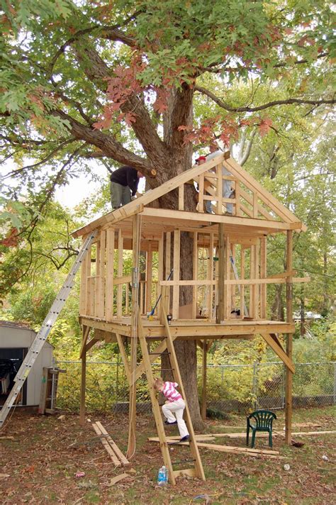 treehouse design ideas   nice   house tree house diy tree house plans simple