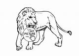 Singa Mewarnai Marimewarnai Cheetah Paud Tk Sd Getdrawings sketch template