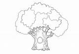 Tree Oak Coloring Old Color sketch template