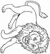 Kolorowanki Lew Lwy Narnia Lwami Zwierzęta sketch template