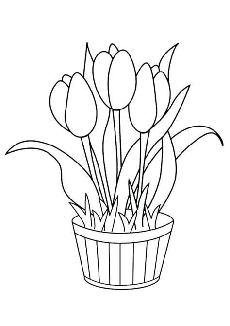 flower pot coloring page coloring page  kids coloring home