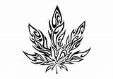Weed Leaf Marijuana Pot Tattoo Drawing Tattoos Stencil Plant Cannabis Tribal Designs Trippy Drawings Sketch Cool Simple Draw Leaves Easy sketch template
