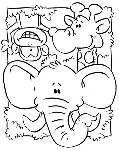 colouring pages jungle animals  file include svg png eps dxf