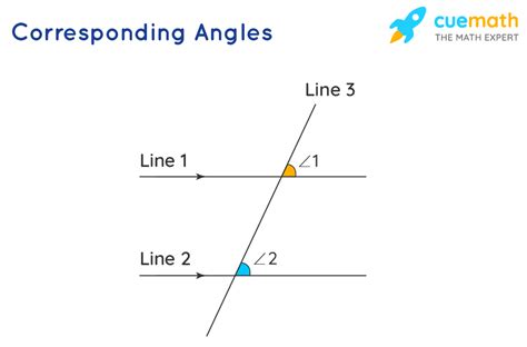 types  angle acute obtuse straight   types