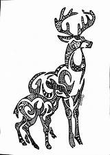 Deer Zentangle Choose Board Aren Just Colouring Coloring Pages sketch template