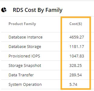 important  analyze aws rds cost  family