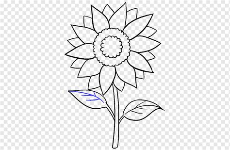 hitam putih mewarnai hitam putih gambar bunga matahari sketsa