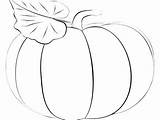 Pumpkin Blank Coloring Pages Getdrawings sketch template