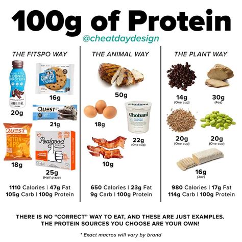 protein   cheat day design