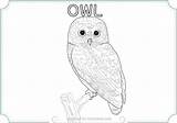 Owl Snowy Coloring Pages Barn Color Drawing Online Getcolorings Printable Sheet Getdrawings Colorings sketch template