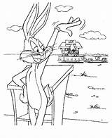 Bunny Bugs Coloring Pages Coloringpages1001 Gif sketch template