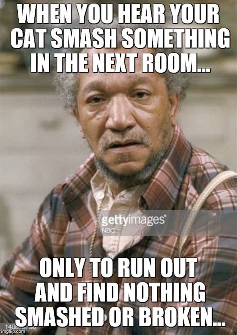 image tagged in funny cat cats fred sanford imgflip