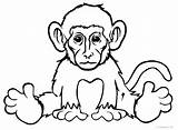 Monkey Coloring Pages Drawing Spider Printable Realistic Kids Easy Face Color Cool2bkids Baby Clipartmag Print Monke Getdrawings Getcolorings sketch template