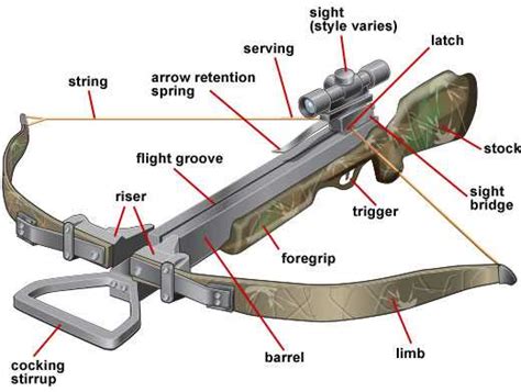 discover   workings   ravin crossbow   detailed parts