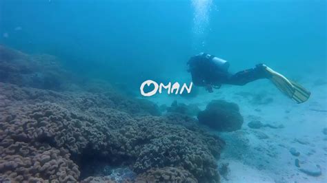 diving  oman youtube